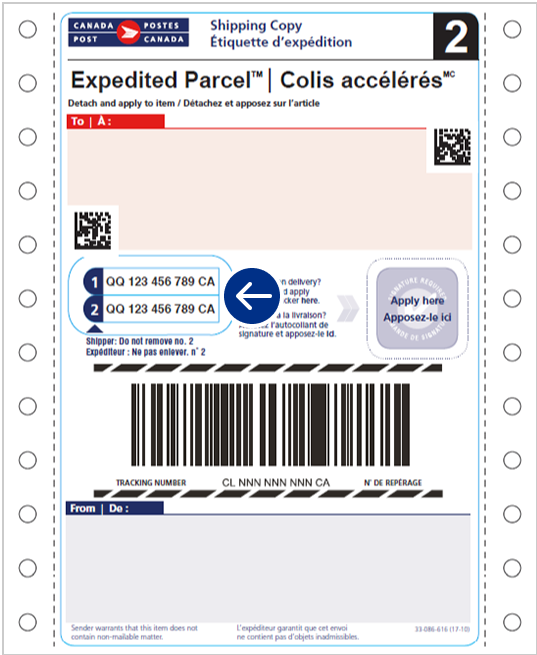 An example of an Expedited Parcel counter shipping label with an arrow indicating where the tracking numbers are found.