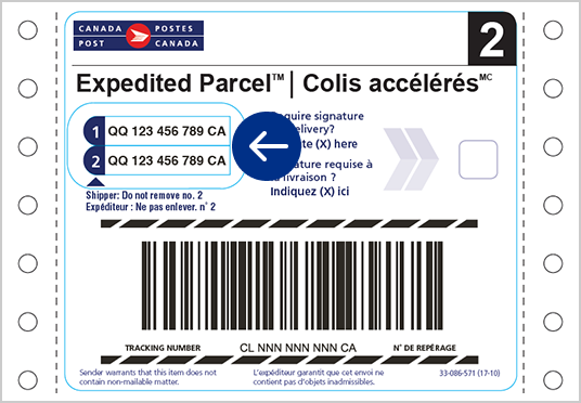 An example of an Expedited Parcel commercial shipping label without address. There’s a circle indicating where the tracking numbers are found.